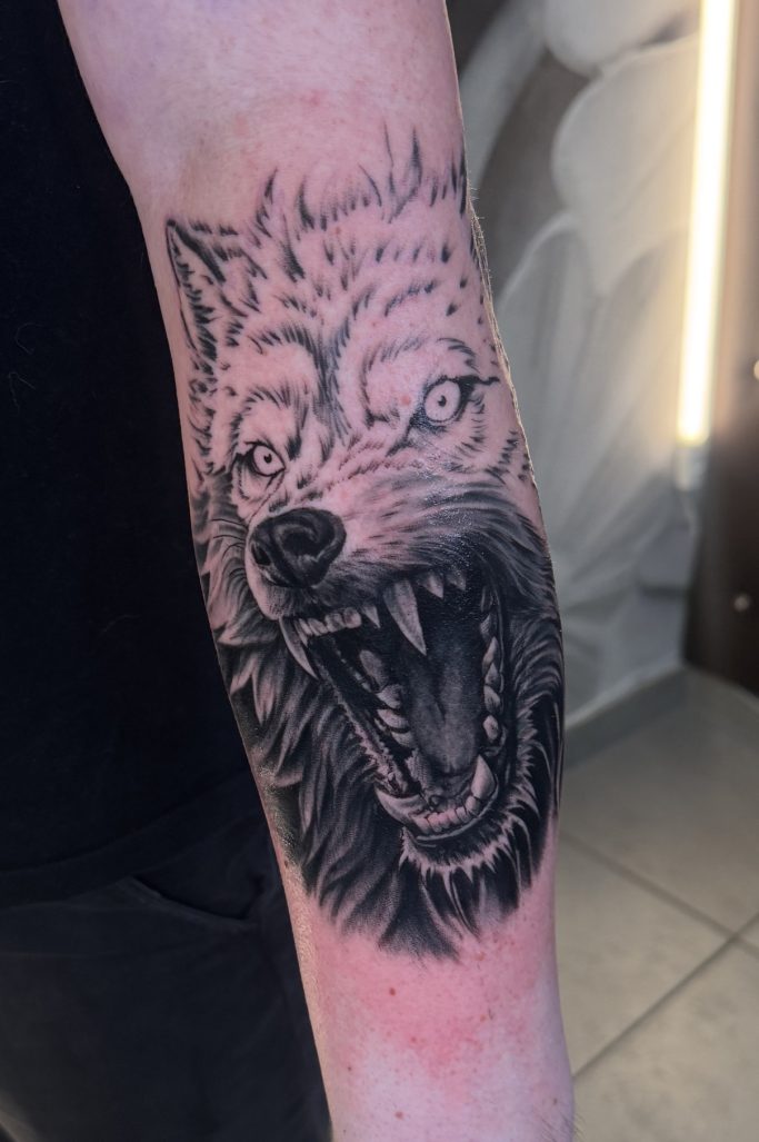 Angefangenes Tatoo: Wolf am Unterarm