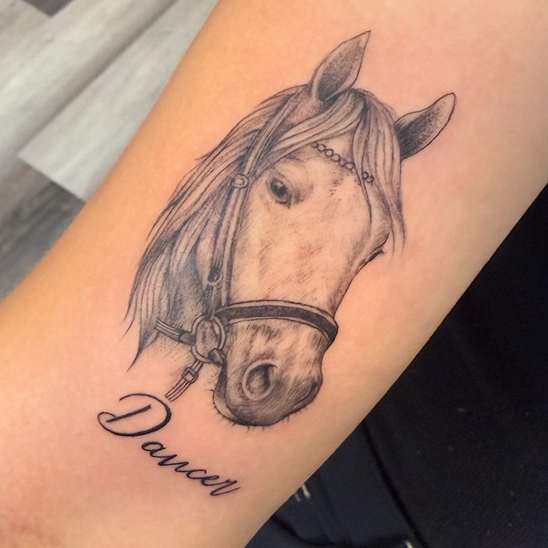 Pferdeporträt mit dem Schriftzug "Dancer" darunter.